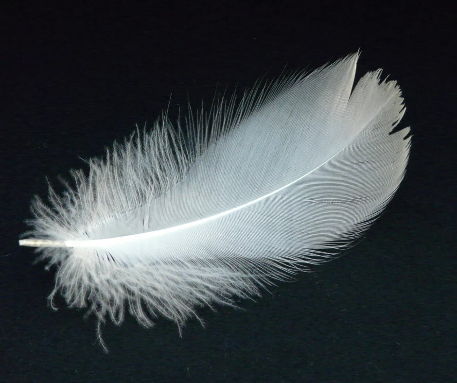 a feather to indication our super slim case is very lightweight